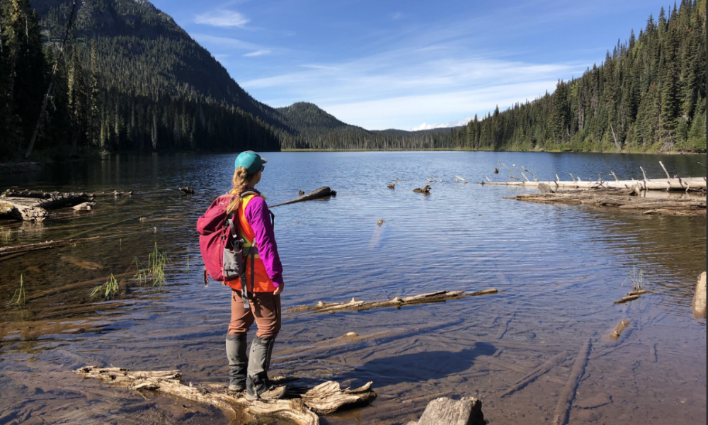 A scientist standing on a tree trunk looking out over the large lake and surrounding forest.