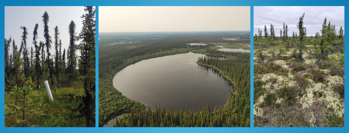 Composite image of trees in a forest, an aerial of a small lake surrounded by trees and lichen.