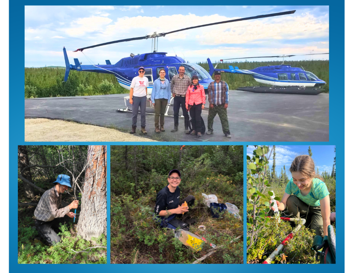 Raquel and her team travel to remote locations, such as the Northwest Territories, by helicopter. (Bottom row) Mehdi M. Aqdam sampling tree wood, Emma Sherwood collecting soil samples and Katerina Coveny measuring lichen cover.  