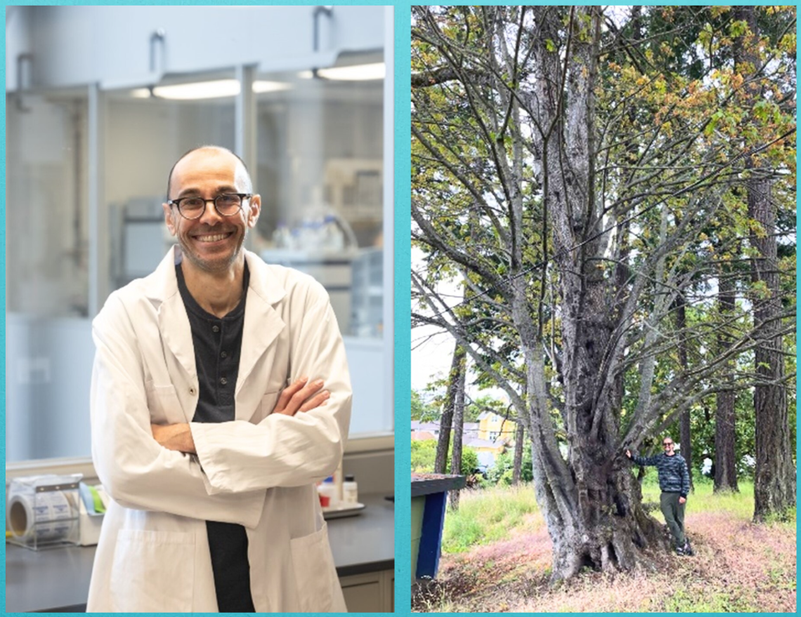 A man smiling at the camera wearing a white lab coat standing in front of a lab bench. A man overshadowed by a very large diseased maple tree.