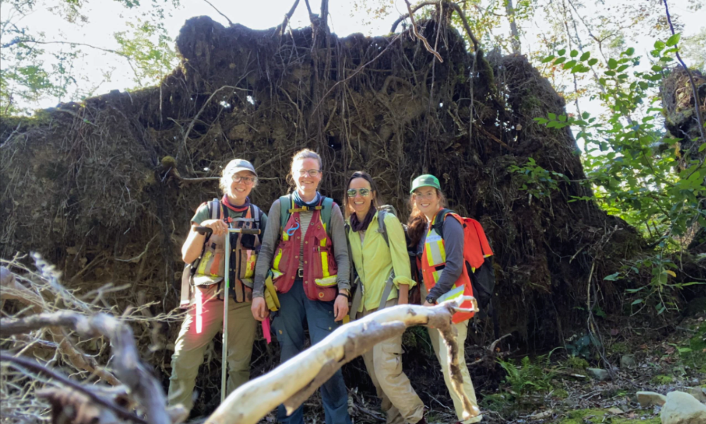 Four scientists standing in front of the roots of a large fallen tree.