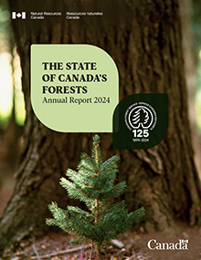Report cover