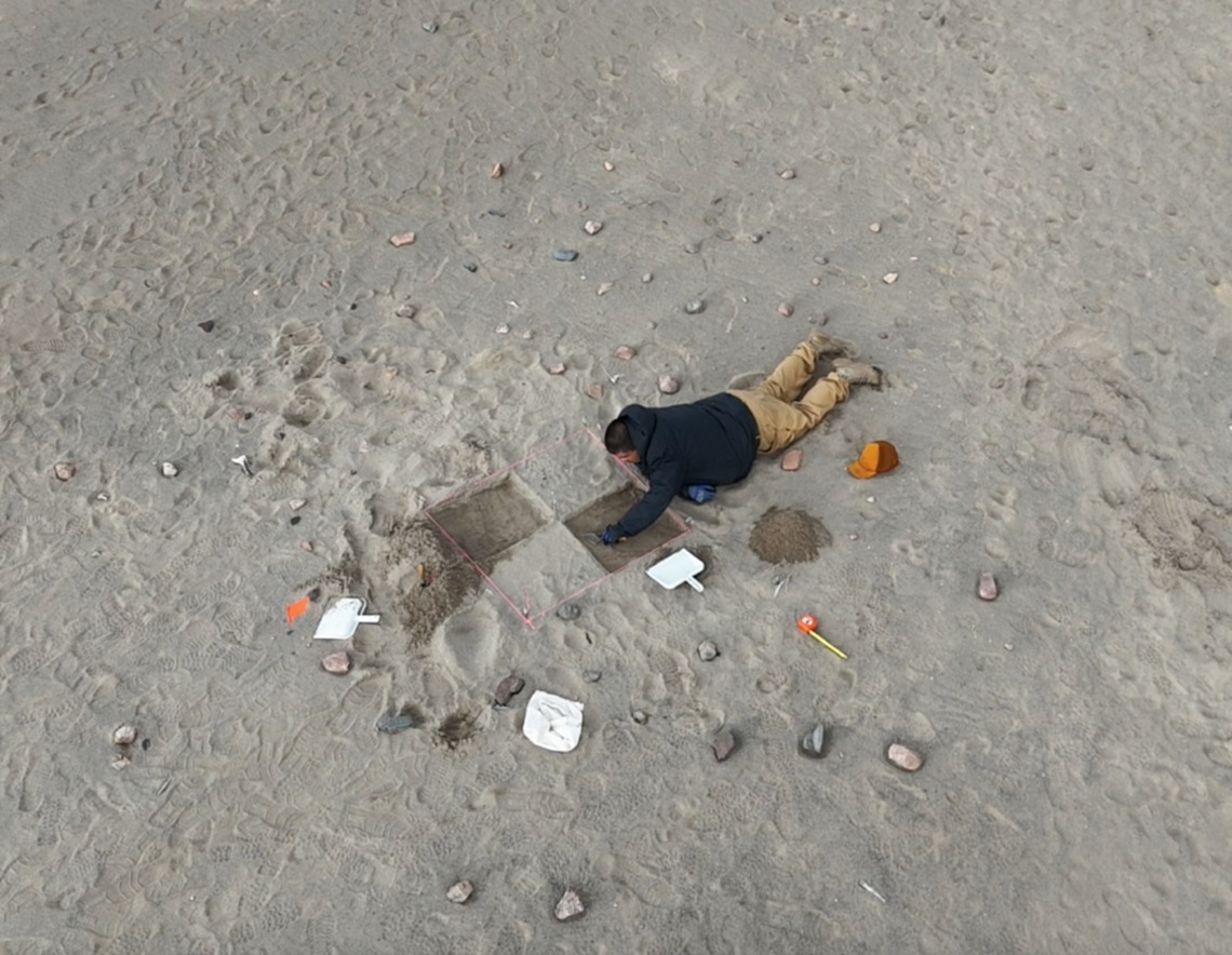 Overhead view of a man lying on the sand digging through quadrants of sand.