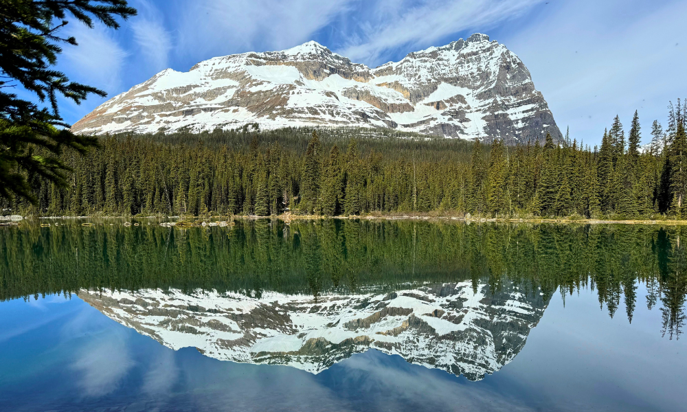 Snow covered peaks of a large mountain with a lake and evergreen forest in the foreground.