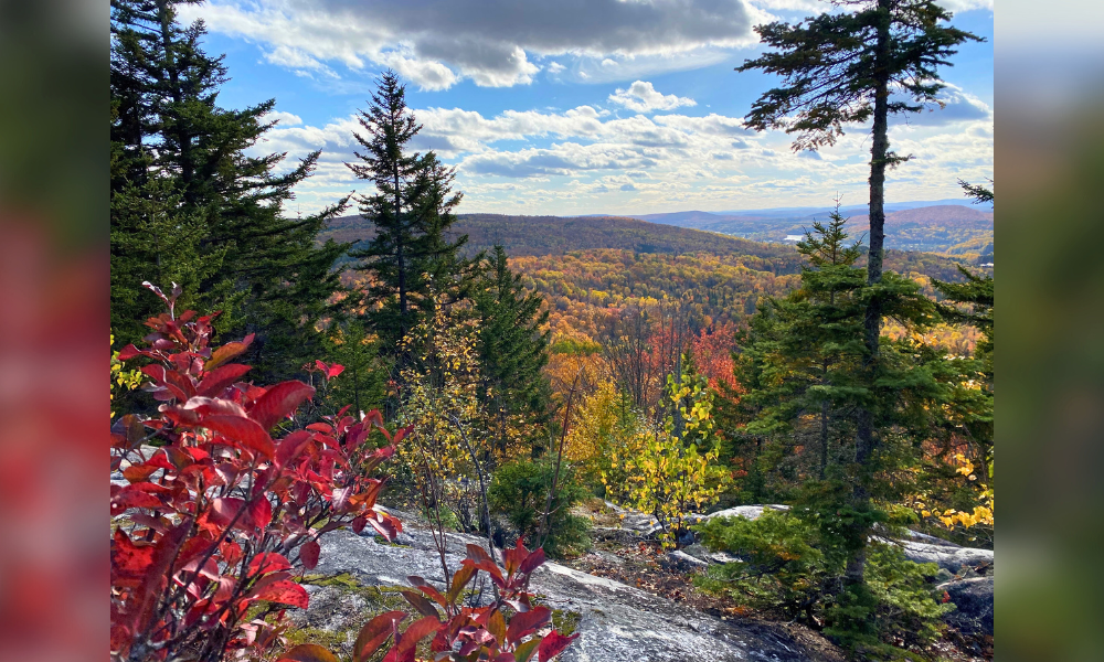 A gorgeous display of fall colours seen from the top of a peak.