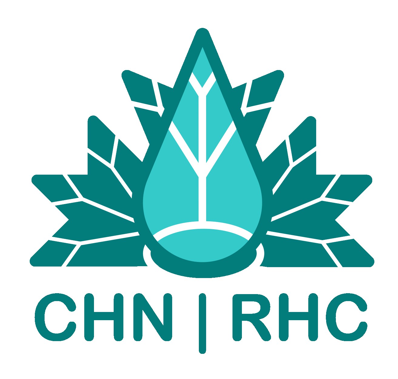Icon of maple leaf and water droplet, intertwined by lines representing rivers. The acronym CHN sits below.