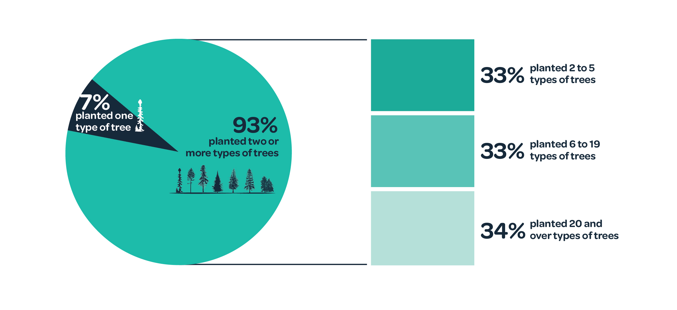 Chart, Types of trees planted by 2021 projects