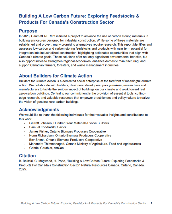 Building A Low Carbon Future PDF