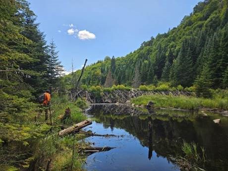A surveyor working in an area that reflects lands that Indigenous Peoples have lived on, cared for, and stewarded for generations.
