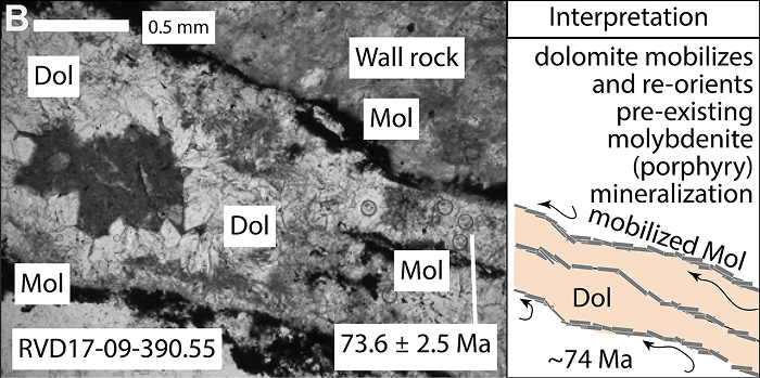 A photomicrograph of a dolomite vein rimmed by molybdenite (not to scale)