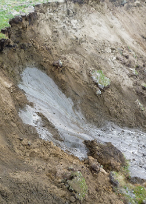 Close-up photo of thawing permafrost