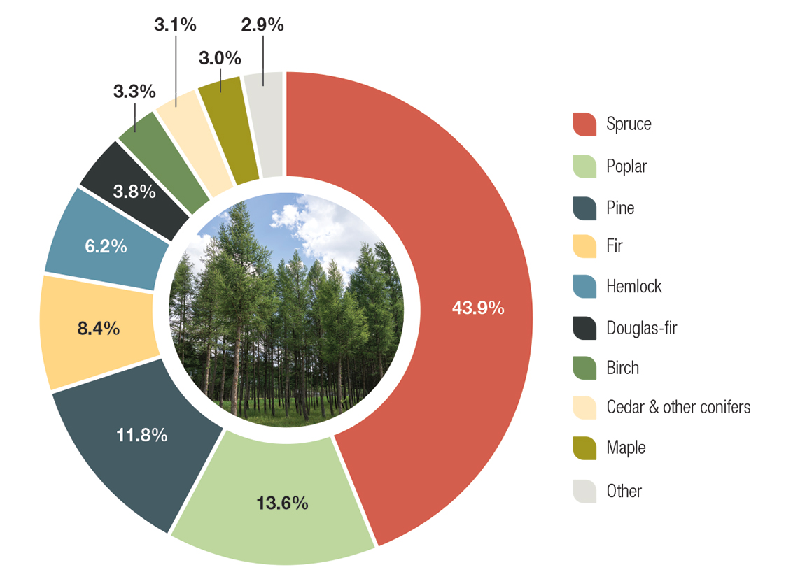 Canadian wood volume on forest land: volume by species group