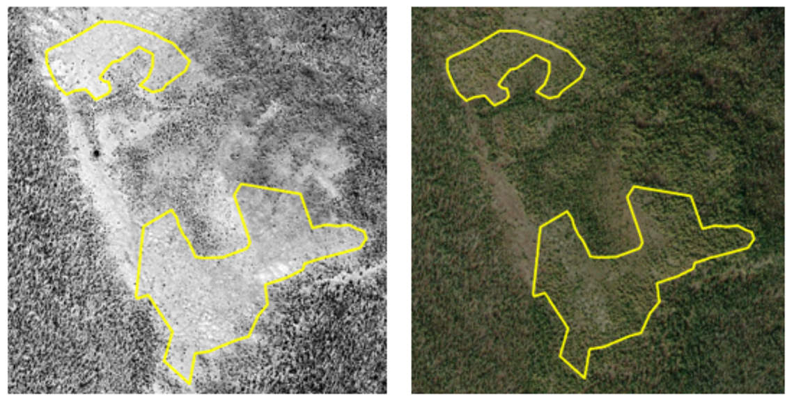 An example of natural forest expansion in the Taiga Plains ecozone. Yellow polygons outline the change from non-treed land areas in 2005 (left) to treed areas in 2021 (right).