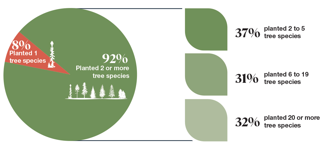 Infographic of a pie chart showing the percentage of projects funded by the 2 Billion Trees program that planted two or more tree species.