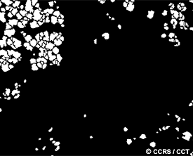 Stem count from hyperspectral imagery