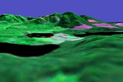 three-dimensional perspective views