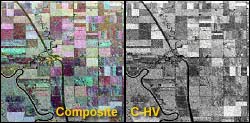 Radar imagery collected using different polarization and wavelength combinations may provide different and complementary information about the targets on the surface
