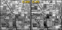 Radar imagery collected using different polarization and wavelength combinations may provide different and complementary information about the targets on the surface
