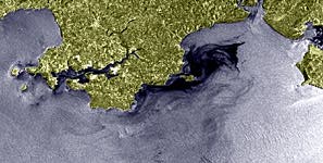 Coastal oil spill, Wales