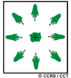 Relief displacement
