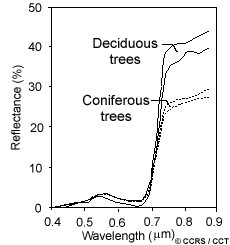 Graph showing reflectance curves