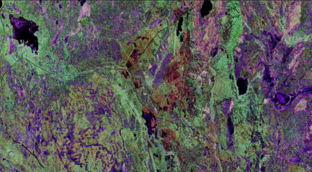 SIR-C L-band colour composite image of Nipawin Provincial Park