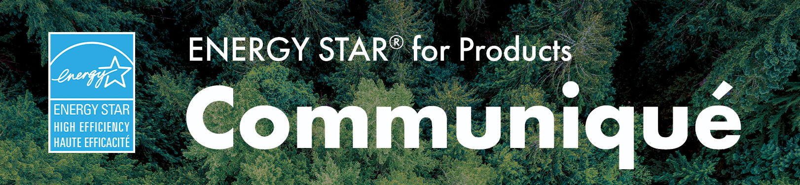 Energy Star for Products