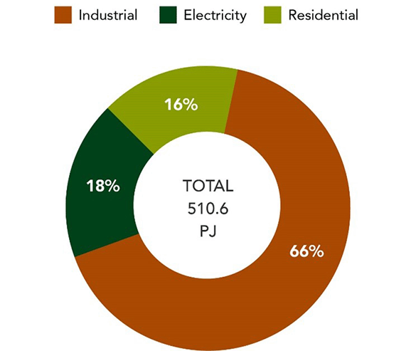 Pie chart showing forest bioenergy use in Canada, described below.