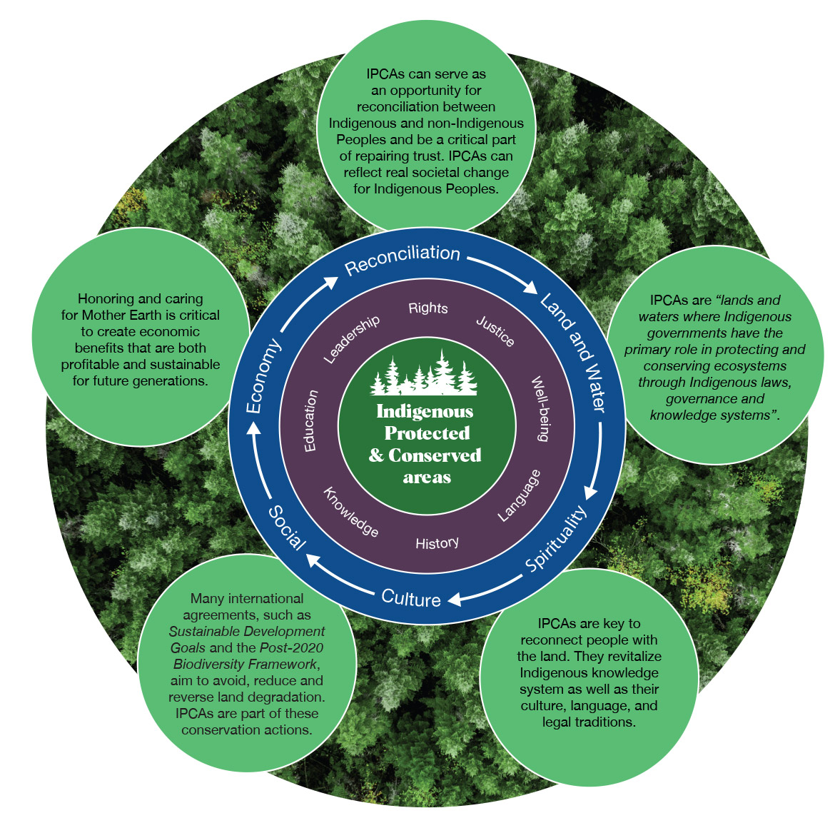 This image shows three concentric circles representing what is an Indigenous Protected and Conserved area (IPCA). The inner circle features a drawing of a natural forested environment and represents the IPCA itself on the territory. The middle and outward circles feature several words representing Indigenous values and systems (Rights, Justice, Well-being, Language, History, Knowledge, Education, and Leadership on the middle circle, and Economy, Reconciliation, Land and Water, Spirituality, Culture, and Social on the outward circle). The words on the outward circle are linked by arrows showing that they are all interconnected. There are also five text boxes beside the concentric circles describing IPCAs and their goals.