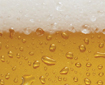 Brewery Sector