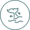 Image representing FSDS Goal - Healthy Coasts and Oceans